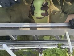 -鹤茶野所(上海首店)