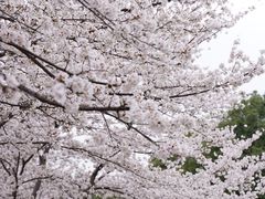 -玉山公园