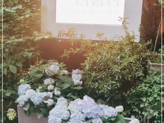 -二酉书店TOYOU BOOKS