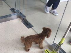 -萌兽医馆·宠物医院·猫骨科(创景店)