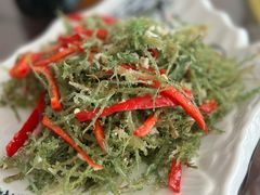 凉拌鹿角菜-撒拉人家.酸菜牦牛肉火锅