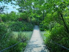 -桤木河湿地公园