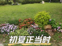 -中国科学院华南植物园