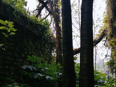 -重庆彩云湖湿地公园