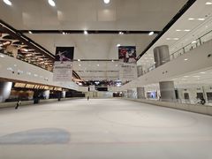-TheRink大零溜冰场(IFS国金中心店)