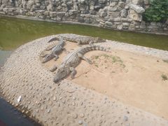 -石家庄市动物园