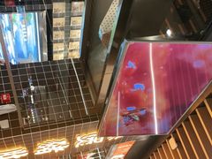 -好彩猪肚鸡(正弘城店)