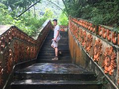 -西双版纳原始森林公园