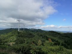 -齐岳山