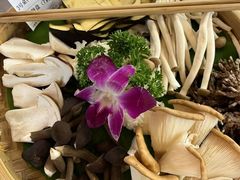 -土连锅·现熬养生汤锅(梁家巷店)