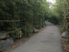 -西安汉城湖景区