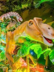 -恐龙探索乐园(磁器口店)