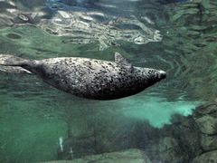 -上海海洋水族馆