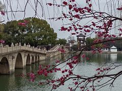 -苏州上方山国家森林公园