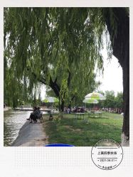 -上美四季动物农场