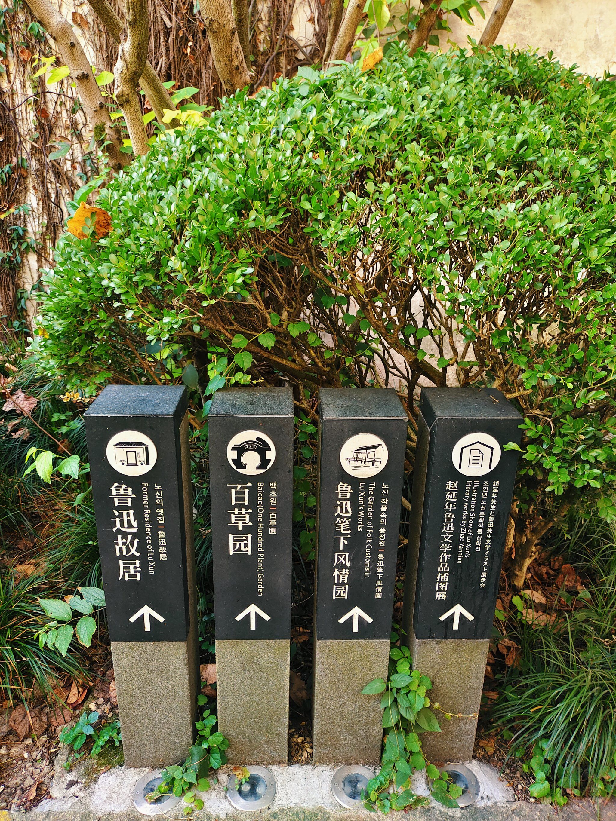 绍兴名片7515从百草园到三味书屋