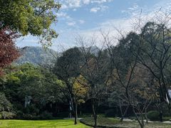 -中国茶叶博物馆(双峰馆区)