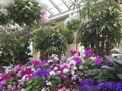 -墨尔本皇家植物园