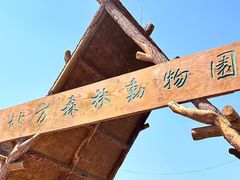 -哈尔滨北方森林动物园