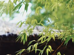 -天朝元辅-徐州民俗博物馆
