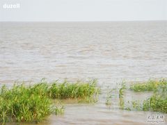 -瀛洲公园