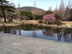 -习家池