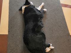 -哈尔滨北方国际青年旅舍(中央大街店)