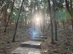 -千佛山风景名胜区