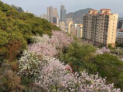 -小南山公园