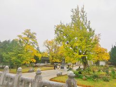 -苏州碑刻博物馆