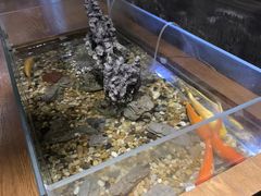 -新盈光·旗舰店(海曙苍松路店)