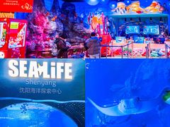 -沈阳海洋探索中心