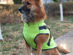 -北京博爱动物医院有限公司