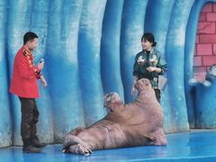 -华夏文旅海洋公园