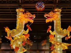 -武汉园博园(武汉自然博物馆)