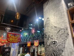 点击看大图 -T.1 hair salon烫染接发