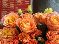 -川匠·睡眠采耳·SPA(九眼桥店)