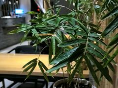 -竹里馆 ·茶食(奥体店)