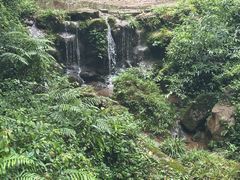-青城山