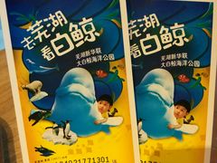 -芜湖新华联大白鲸海洋公园