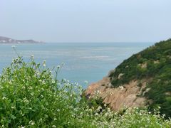 -枸杞岛