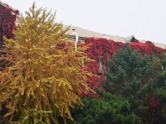 -辽宁大学(崇山校区)