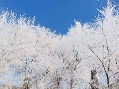 -雾凇岛
