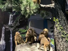 -长江文明馆