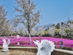 -云幽谷旅游区