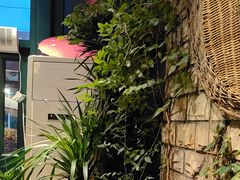 -慢丽江·云南野生菌土鸡锅(付家庄店)