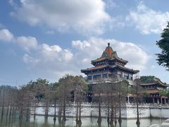 -顺峰山公园