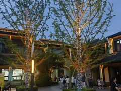 -雅达·阳羡溪山小镇中心