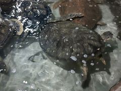 -杭州海底世界