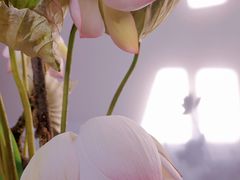 -腾冲和顺柏联酒店